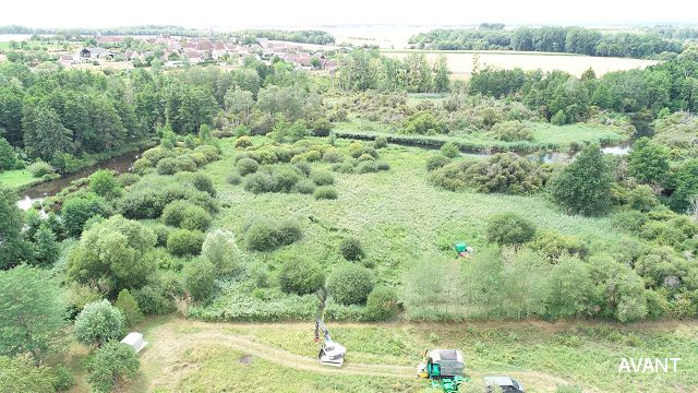 Roselière avant restauration